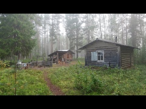 Видео: Путешествие на Ямозеро Ч14. Сплав по реке Мезень. Мезенская Пижма. Лесная изба. Один в глухой тайге