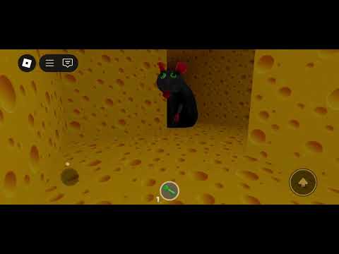 Видео: 30 октября 2025 г.