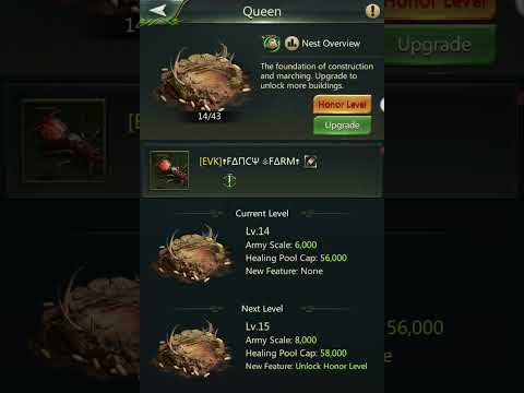 Видео: Новое шикарное гнездо, часть 2