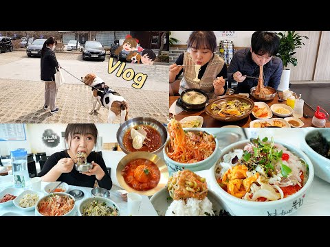 Видео: Mukbang Vlog | Короткая поездка в Канвондо №3, Рисовая смесь из морского ежа, Сашими в холодном супе