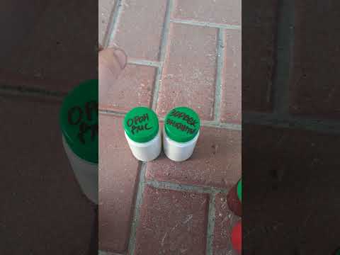 Видео: Сильнейшие фунгициды против фитофторы, пероноспороза, милдью. ЛМР. Орондис и Зорвек