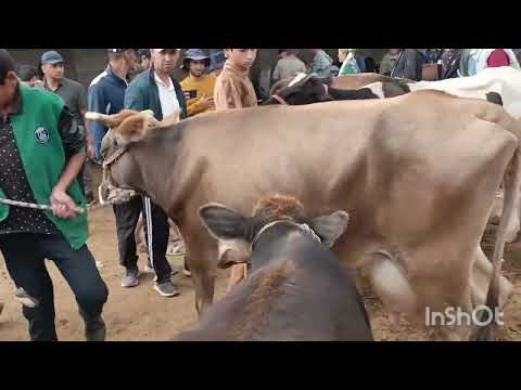 Видео: Молбозори хочи шариф нарху. Навой.молхо3 октября 2025 г.