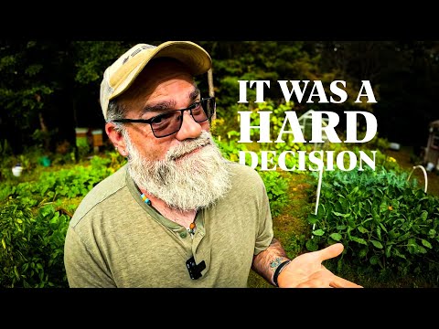 Видео: Я использовал синтетические удобрения в течение года. Я в шоке.