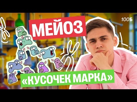 Видео: Мейоз. Практика — ИНТЕНСИВ КУСОЧЕК МАРКА | Марк Ламарк | 100балльный репетитор