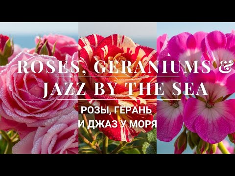 Видео: Jazz, Flowers & Sea: Unique Melodies for Rest and Inspiration/Нежный Джаз с Ароматом Роз и Герани