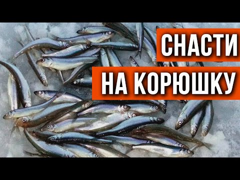 Видео: Снасти на корюшку для реальных условий.