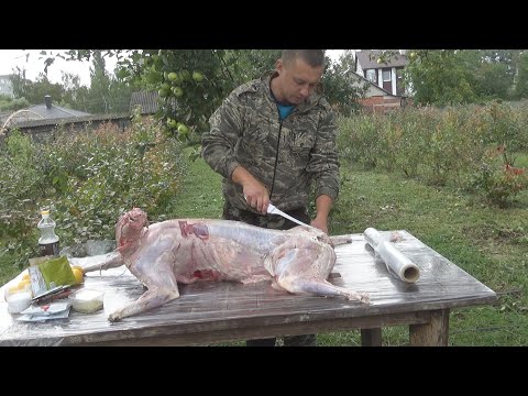 Видео: КОСУЛЯ В ЯМЕ НА УГЛЯХ ЦЕЛИКОМ!!!НОЧНАЯ ОХОТА НА КОСУЛЮ!!!
