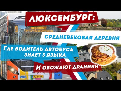 Видео: Переезд в Люксембург: зарплаты, цены, учеба/ Работа для мигрантов в Люксембурге/ Кухня Люксембурга