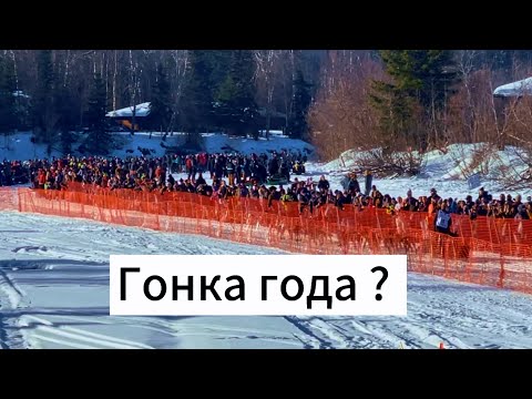 Видео: Аляска. Знаменитая Гонка на Собачьих Упряжках