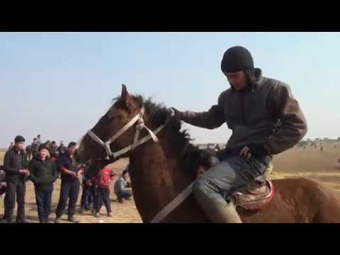 Видео: Кокпар Шардара Қайырбек ағамыздың бата алу кокпар тойы 25.02.2018ж.