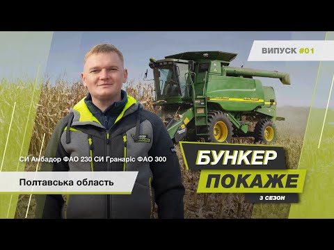 Видео: #БункерПокаже 3-й сезон. Збір урожаю гібридів кукурудзи🌽 СИ Амбадор, СИ Гранаріс. Полтавська обл.