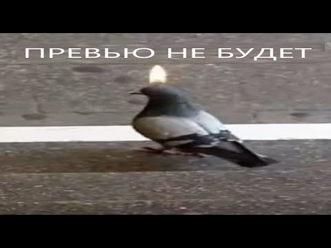 Видео: Как вернуться на сток прошивку или прошить самсунг?