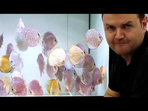 Видео: EuropaDiskusCenter 2 серия Фильтрация