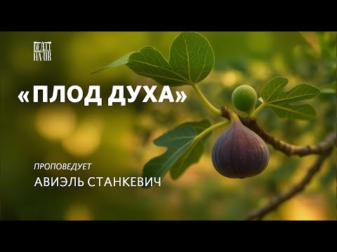 Видео: Плод духа  - Авиэль Станкевич