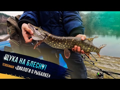 Видео: 🔥"Щука на блесну - участник проекта "Клевое детство телеканала "Диалоги о рыбалке"