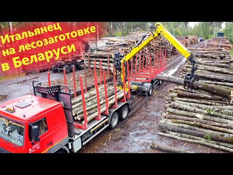 Видео: Новый грузовик МАЗ лесовоз из Беларуси с манипулятором Марчези из Италии