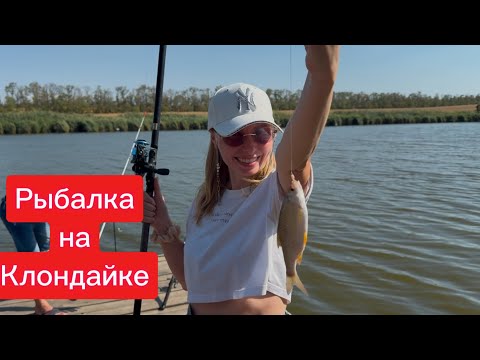 Видео: Отдых на базе «Клондайк». Рыбалка. Стройка на выходном.