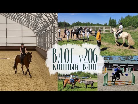 Видео: Конный влог. Конкур, рабочая тропа, тренировки. Влог №206