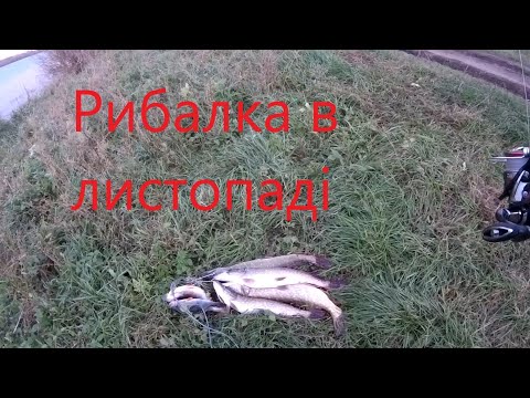 Видео: РИБАЛКА НА ХИЖАКА! НАТАСКАВ ЩУК, ОКУНІВ!