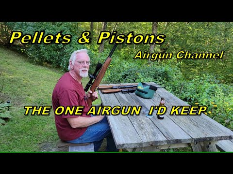 Видео: ЕСЛИ БЫ Я МОГ ОСТАВИТЬ С СОБОЙ ТОЛЬКО ОДНО ПНЕВМАТИЧЕСКОЕ ОРУЖИЕ