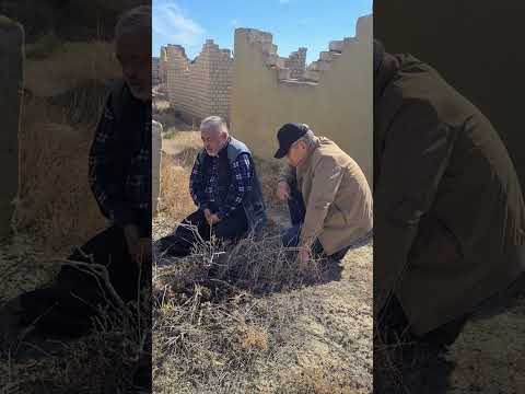 Видео: Бұл менің әкем Жандаудың бейіті #менанамын #жандауовтар 