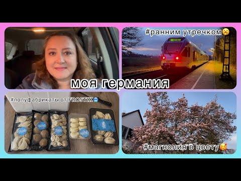 Видео: На работу в сопровождении стаи птиц😁/ новинка - Frostix🥶😁/по городу под релакс- музыку/ моя Германия
