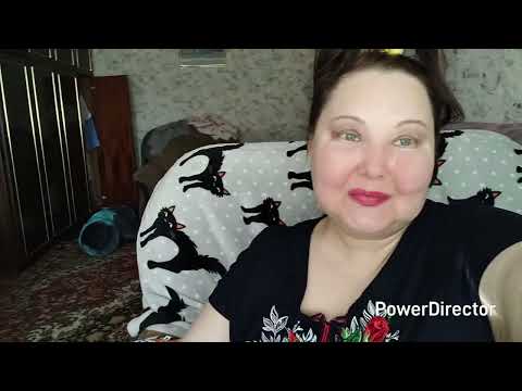 Видео: МЕЧТАЮ ЖИТЬ ПОДАЛЬШЕ ОТ БЛЮДЕЙ / ИСТОРИЯ ГИГАНТА  КОТА ФЛИНТА .