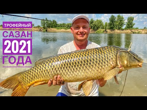 Видео: ТРОФЕЙНЫЙ САЗАН ЛЕТО 2021! БЕЛЫЙ АМУР РВЁТ ПОДСАК Рыбалка на Ахтубе с Двумя Ночевками