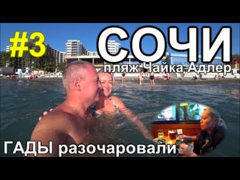 Видео: дорогой Сочи, Адлер: пляж Чайка; бар Раки и Гады разочаровал