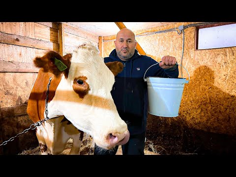 Видео: 100% Рецепт Кефира!!  Суп из Кефира!!!