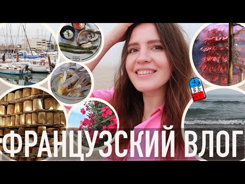 Видео: ♥️НАШ МОРСКОЙ ОТПУСК- 😱АПОКАЛИПСИС НА ПЛЯЖЕ И САМЫЙ НЕОБЫЧНЫЙ ФРАНЦУЗСКИЙ РЕСТОРАН СО СТЕНОЙ ИЗ СЫРА