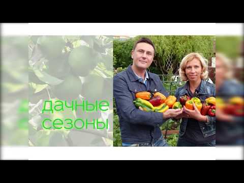 Видео: Что посеять в январе? Стратификация примулы. Сеем лобелию. Составляем грунт для рассады