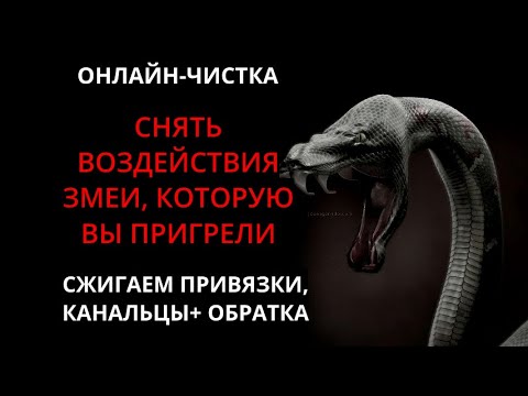 Видео: 🔥ЧИСТКА НЕГАТИВА ОТ ПРЕДАТЕЛЕЙ И ОБИДЧИКОВ l ОНЛАЙН-РИТУАЛ + ОБРАТКА 🔥