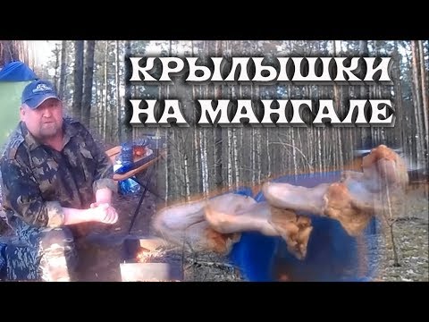 Видео: Одиночный поход в лес весной с ночевкой, куриные крылышки на мангале.
