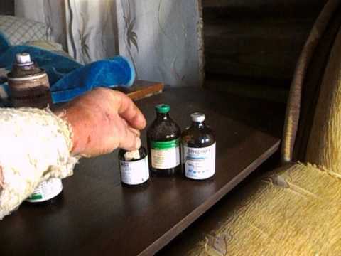 Видео: Миниаптечка/роды у коз и овец