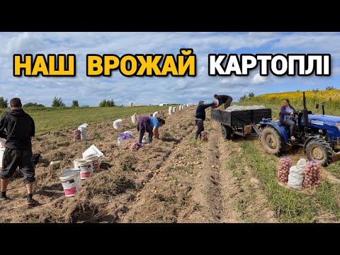 Видео: Викопали картоплю.🥔 Супер Врожай з 15 сортів 😳