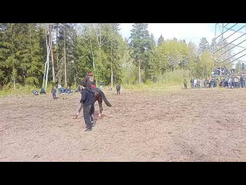 Видео: 22 сентября 2025 г.