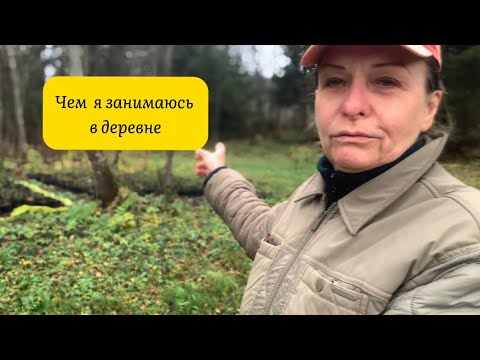 Видео: Чем заниматься в деревне бывшей горожанке. 