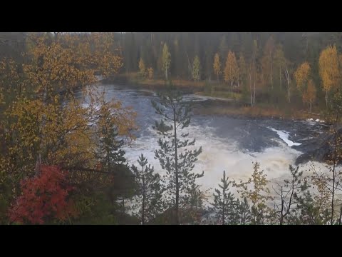 Видео: Рыбалка на оз. Верхнее Куйто. Северная Карелия. Сентябрь. Часть 1.