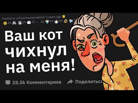 Видео: По Какой Идиотской Причине Человек Обиделся?