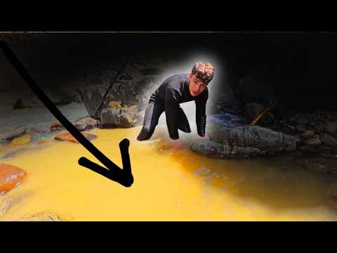 Видео: Если вы это видите, то вас ждет ОГРОМНАЯ ПОЛОСА ЗАРАБОТКОВ!!