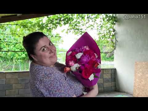 Видео: ПАКУАШ // 7-я серия про отпуск 2025