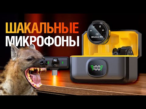 Видео: НЕ ПОКУПАЙ ЭТИ МИКРОФОНЫ! Обзор петличек (не) Xiaomi J6