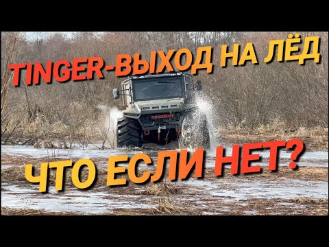 Видео: TINGER TF4 выход на лед . Что если нет ?