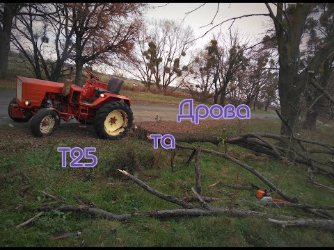Видео: Бобри,дрова та трактор Т25 прибираємо територію