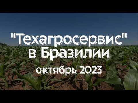 Видео: Посещение полей кукурузы, технология No-Till в Бразилии. Проблемы, ошибки, причины.