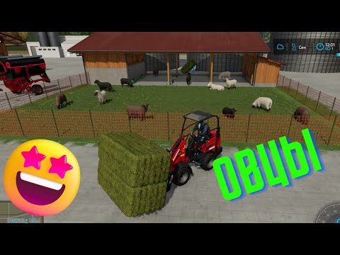 Видео: Безумная идея с овцами: Огромная карта, наш удивительный опыт!!! Farming simulator 22