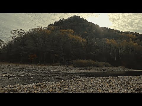 Видео: Замечательная рыбалка на горной речке.\\ Наловили на Уху.\\ Пеструшку отпустили.