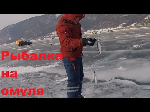 Видео: Рыбалка зимой на Байкале,  ловля омуля.