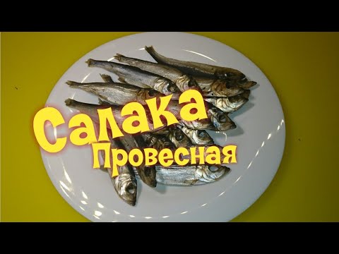 Видео: САЛАКА ПРОВЕСНАЯ / Baltic herring